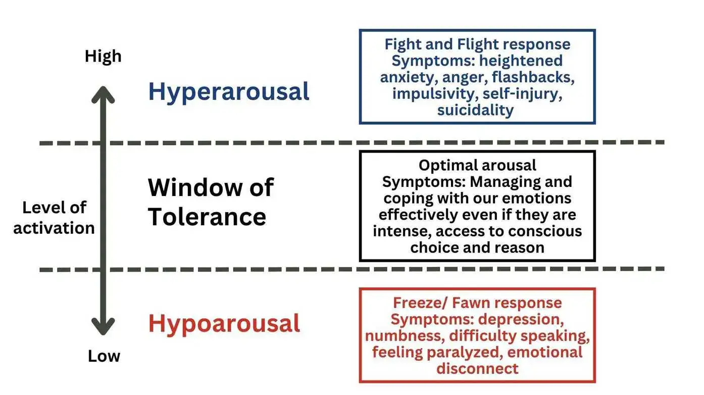 Window Of Tolerance For Trauma Recovery Nervous System Regulation 