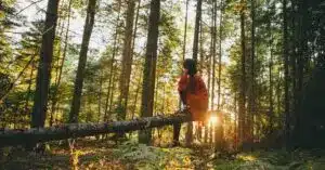 The image shows an individual in a forest after a session with EMDR for trauma.