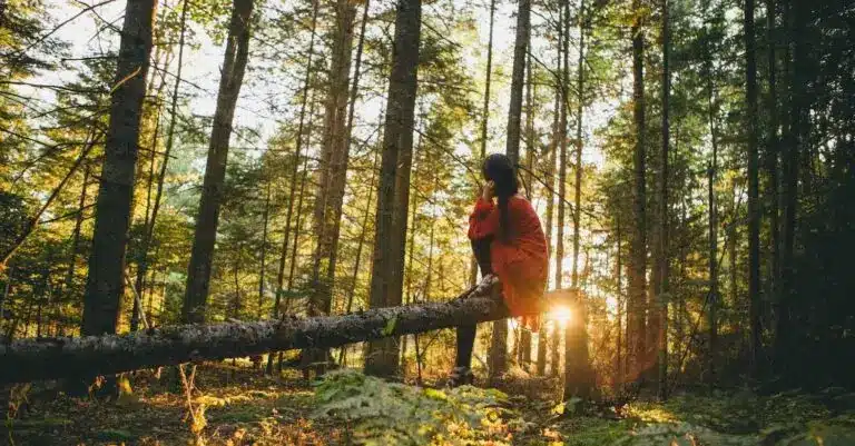 The image shows an individual in a forest after a session with EMDR for trauma.
