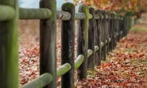 The image shows a fence as a symbol for examples of healthy boundaries.