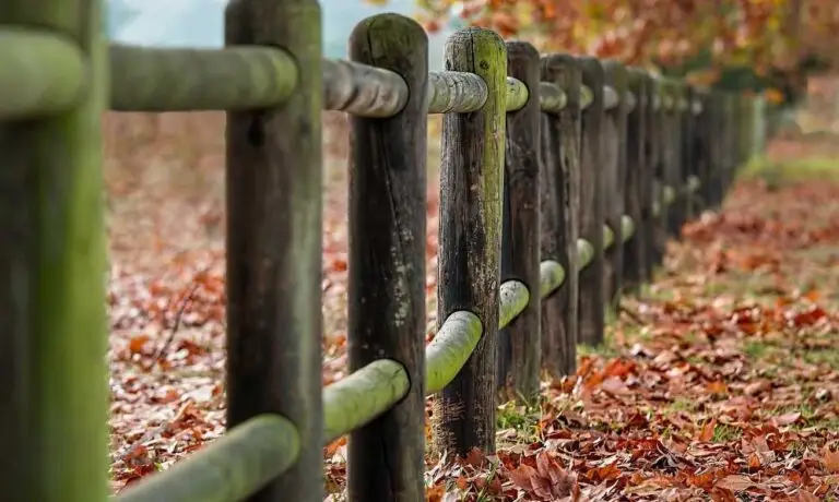 The image shows a fence as a symbol for examples of healthy boundaries.