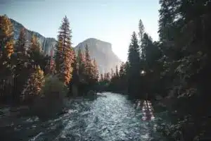 The images shows a river as a symbol of finding an up-to-date definition about what is trauma.
