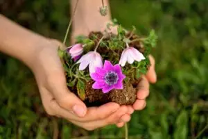 Hands holding soil and a flower illustrate how to recover from complex trauma and the growth that comes with healing.