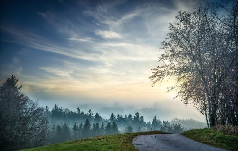 Pathway curving uphill toward a misty forest at dawn, symbolizing healing childhood sexual abuse and the journey toward hope.