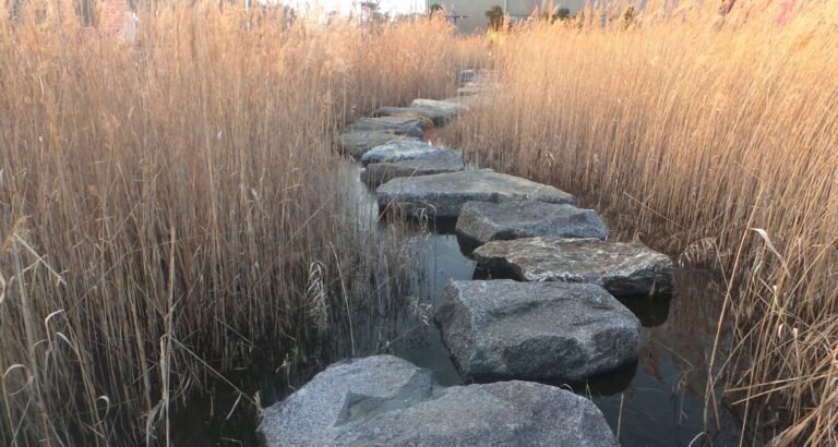 Stepping stones on a river, symbolizing the process with the 8 phases of EMDR.
