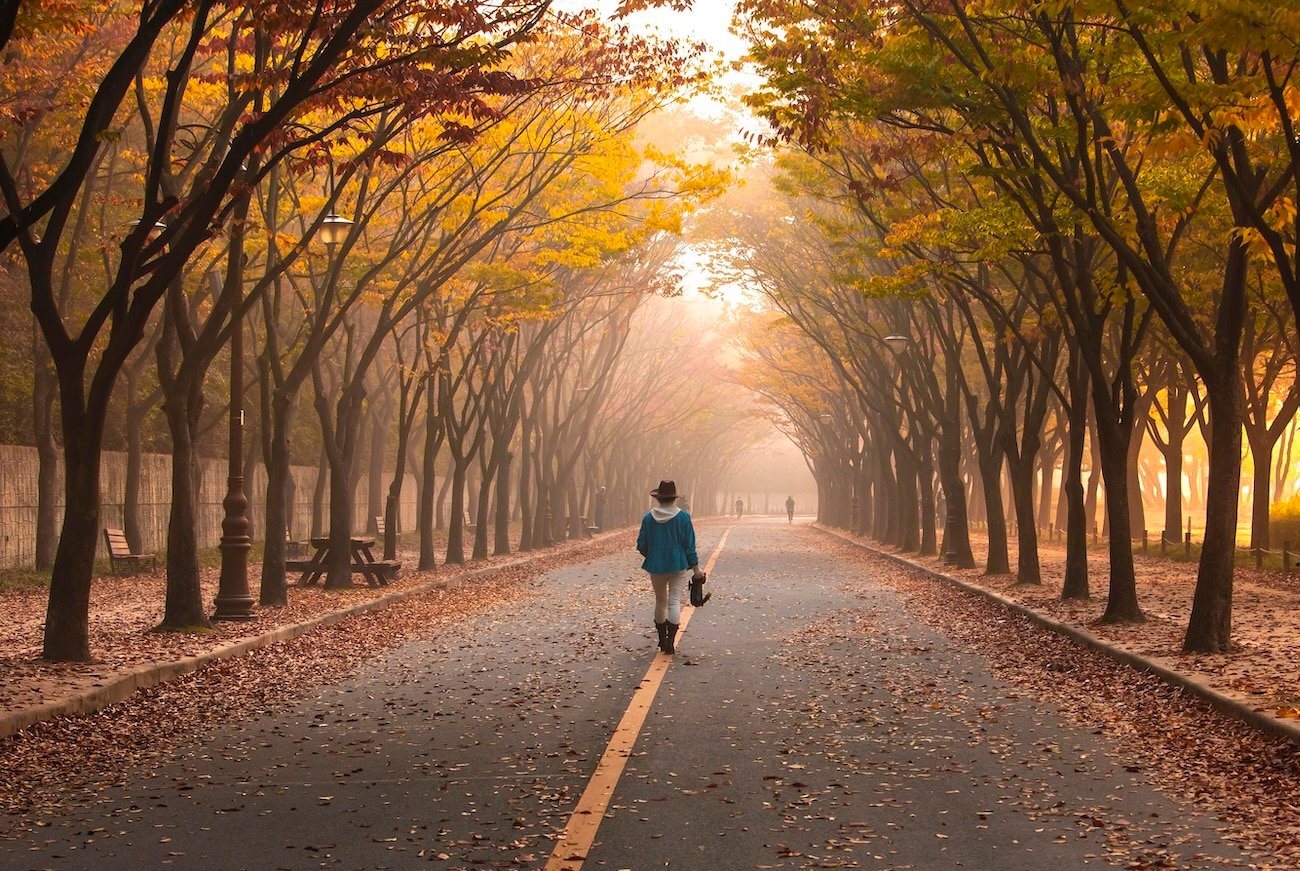 A person walking on a road surrounded by trees, symbolizing the journey of cutting ties with family after childhood abuse.